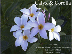 Calyx &amp; Corolla Mar – 5805 Problems and Methods in Marketing Management
