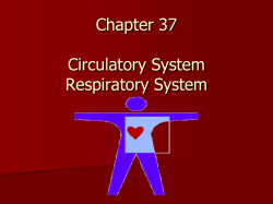 Chapter 37 Circulatory System Respiratory System