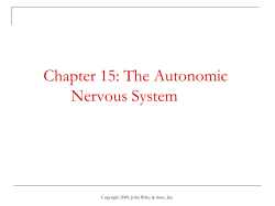 Chapter 15: The Autonomic Nervous System
