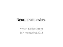 Neuro tract lesions Vivian &amp; slides from ESA mentoring 2013