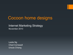 Cocoon home designs Internet Marketing Strategy November 2010 Leslie Ng