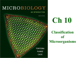 Ch 10 Classification of Microorganisms