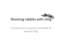 Shooting rabbits with sling Introduction to Apache Jackrabbit &amp; Apache Sling