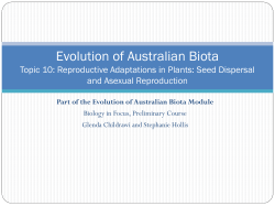 Evolution of Australian Biota and Asexual Reproduction