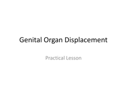 Genital Organ Displacement Practical Lesson