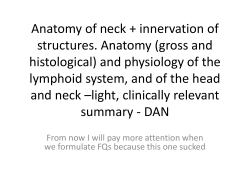 Anatomy of neck + innervation of structures. Anatomy (gross and