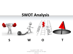 SWOT Analysis W T S