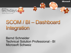 Bernd Schneider Technical Solution Professional - BI Microsoft Schweiz