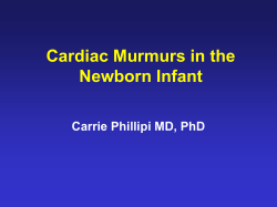Cardiac Murmurs in the Newborn Infant Carrie Phillipi MD, PhD