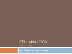CELL ANALOGY Mia Murray &amp; Taylor Haney ANALOGY TO A SCHOOL