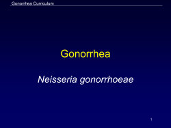 Gonorrhea Neisseria gonorrhoeae Gonorrhea Curriculum 1