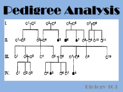 Pedigree Analysis Biology 103
