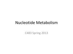 Nucleotide Metabolism C483 Spring 2013