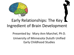 Early Relationships: The Key Ingredient of Brain Development