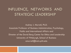 INFLUENCE,  NETWORKS  AND STRATEGIC LEADERSHIP
