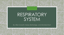 RESPIRATORY SYSTEM By: Ellie Conzatti, Kelsey Betteridge, and Michele Short