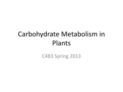 Carbohydrate Metabolism in Plants C483 Spring 2013