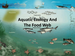 Aquatic Ecology And The Food Web