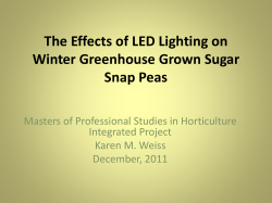 The Effects of LED Lighting on Winter Greenhouse Grown Sugar Snap Peas