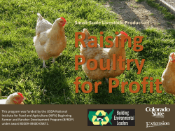 Raising Poultry for Profit Small-Scale Livestock Production