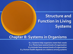 Structure and Function in Living Systems Chapter 8: Systems in Organisms