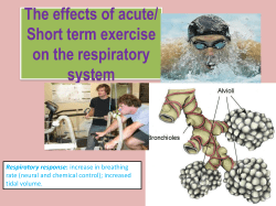The effects of acute/ Short term exercise on the respiratory system