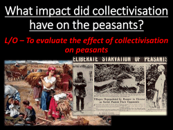 What impact did collectivisation have on the peasants? on peasants