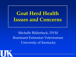 Goat Herd Health Issues and Concerns Michelle Bilderback, DVM Ruminant Extension Veterinarian