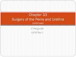Chapter 33 Surgery of the Penis and Urethra C Fitzgerald GCH Uro 1