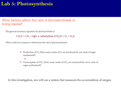 Lab 5: Photosynthesis