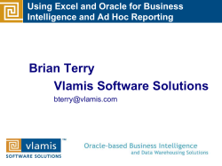 Brian Terry Vlamis Software Solutions Using Excel and Oracle for Business