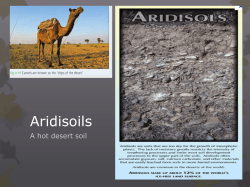 Aridisoils A hot desert soil
