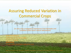 Assuring Reduced Variation in Commercial Crops