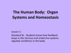 The Human Body:  Organ Systems and Homeostasis