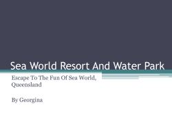 Sea World Resort And Water Park Queensland By Georgina