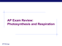AP Exam Review: Photosynthesis and Respiration AP Biology