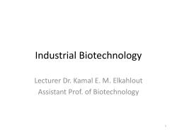 Industrial Biotechnology Lecturer Dr. Kamal E. M. Elkahlout Assistant Prof. of Biotechnology 1