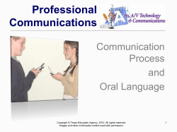Professional Communications Communication Process