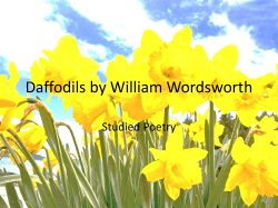 Daffodils by William Wordsworth Studied Poetry