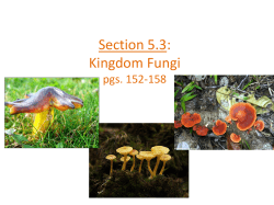 Section 5.3: Kingdom Fungi pgs. 152-158