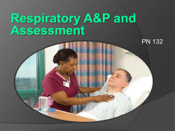 Respiratory A&amp;P and Assessment PN 132