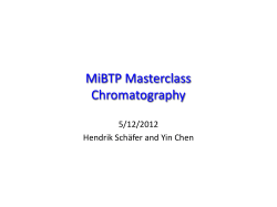 MiBTP Masterclass Chromatography 5/12/2012 Hendrik Schäfer and Yin Chen