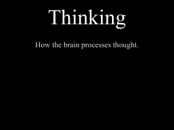 Thinking How the brain processes thought.