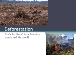 Deforestation Made By: Sadaf, Sara, Momina, Aaraiz and Muzzamil