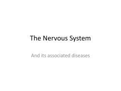 The Nervous System And its associated diseases