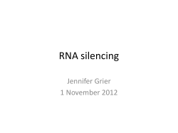 RNA silencing Jennifer Grier 1 November 2012