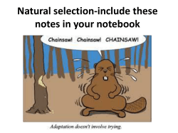 Natural selection-include these notes in your notebook