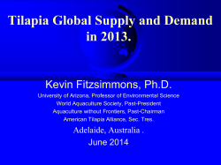 Tilapia Global Supply and Demand in 2013. Kevin Fitzsimmons, Ph.D.