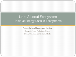 Unit: A Local Ecosystem Topic 3: Energy Uses in Ecosystems