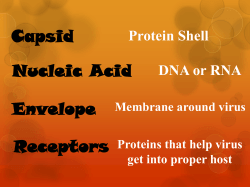 Capsid Nucleic Acid Envelope Receptors